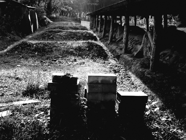 丹波・立杭焼 登り窯